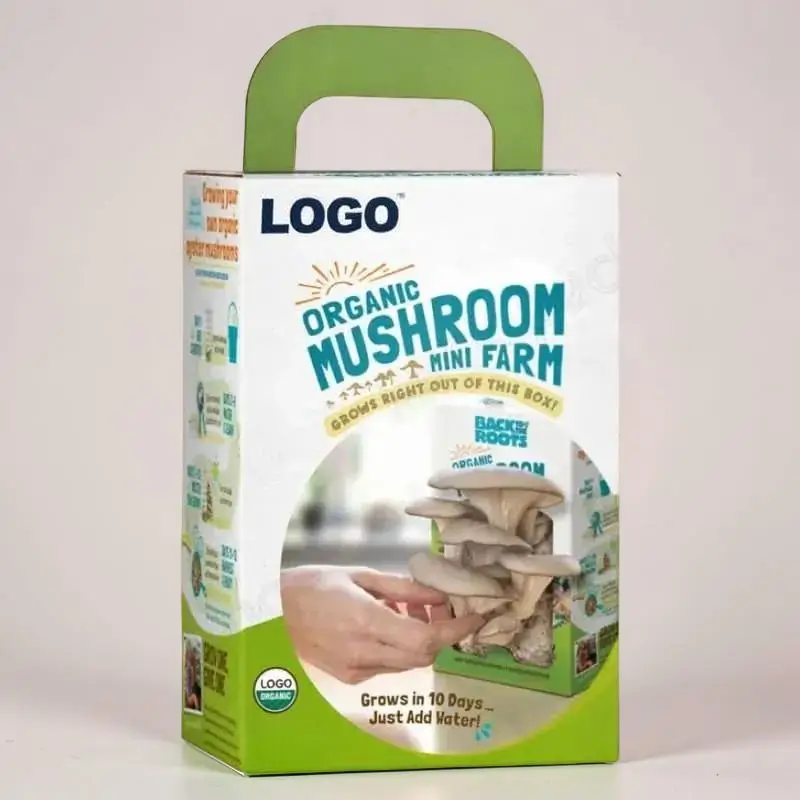 Mushroom Boxes Bulk Supplier